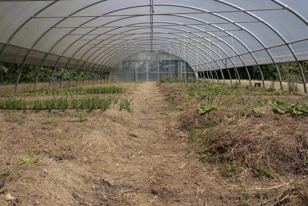 Cascina Foresto Acomodação com café da manhã Cossato Exterior foto