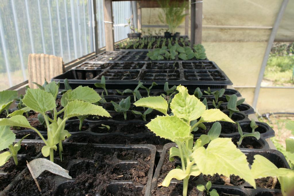 Cascina Foresto Acomodação com café da manhã Cossato Exterior foto