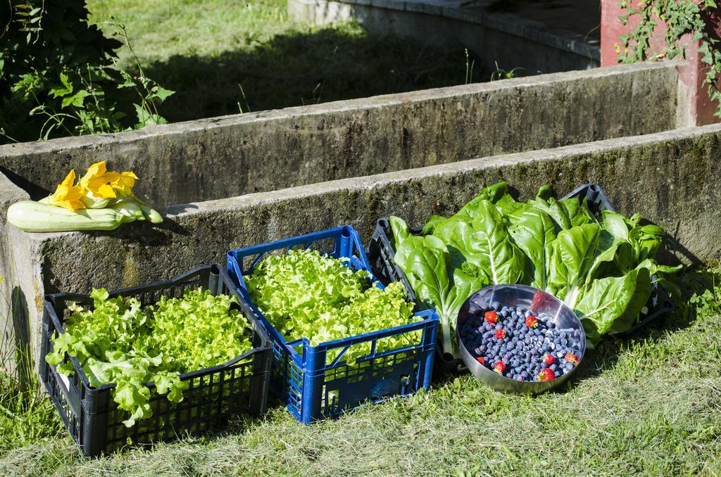 Cascina Foresto Acomodação com café da manhã Cossato Exterior foto
